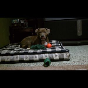 Meet your Posher, Dave